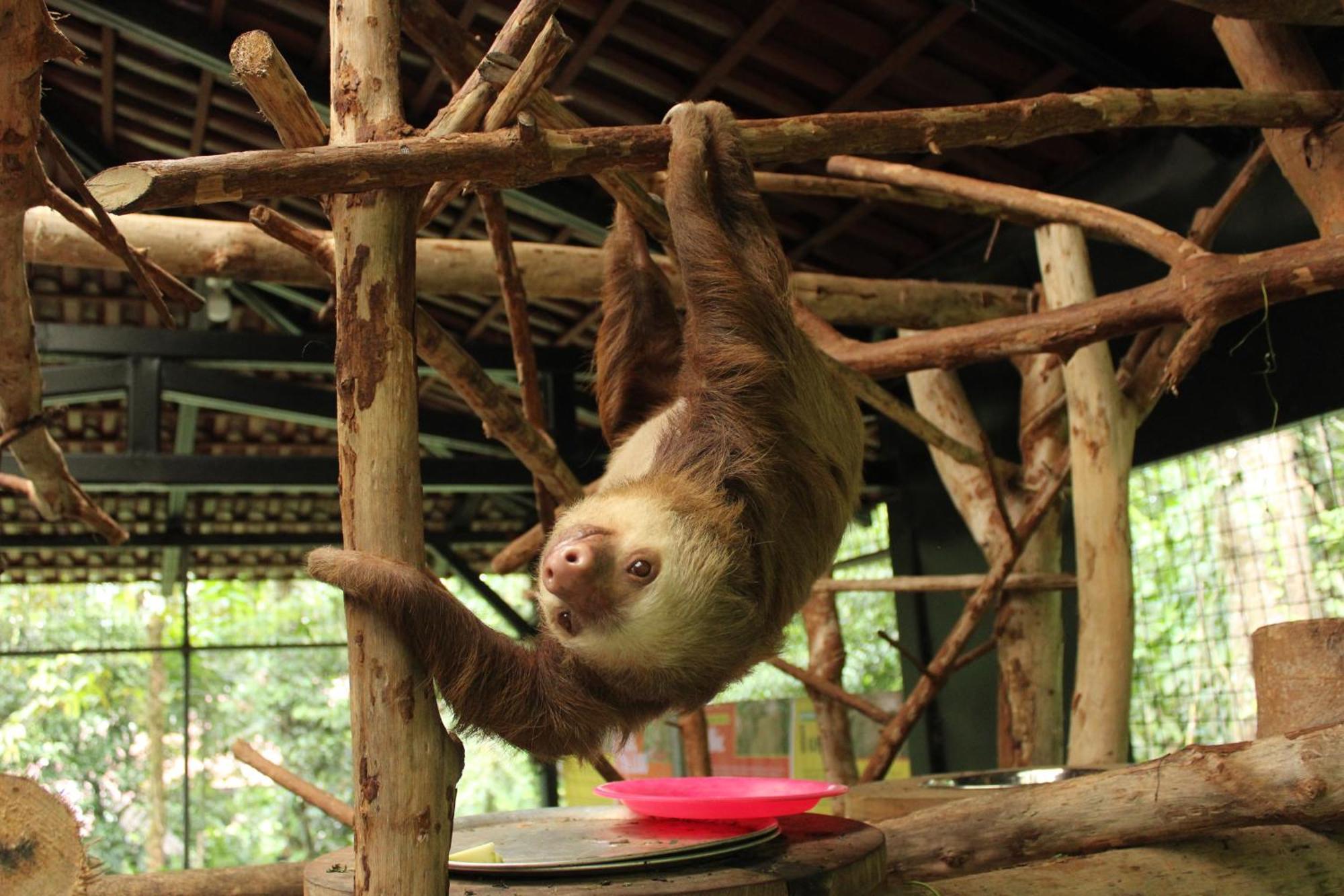 Tapirus Lodge And Reserve Carrillo  Екстер'єр фото