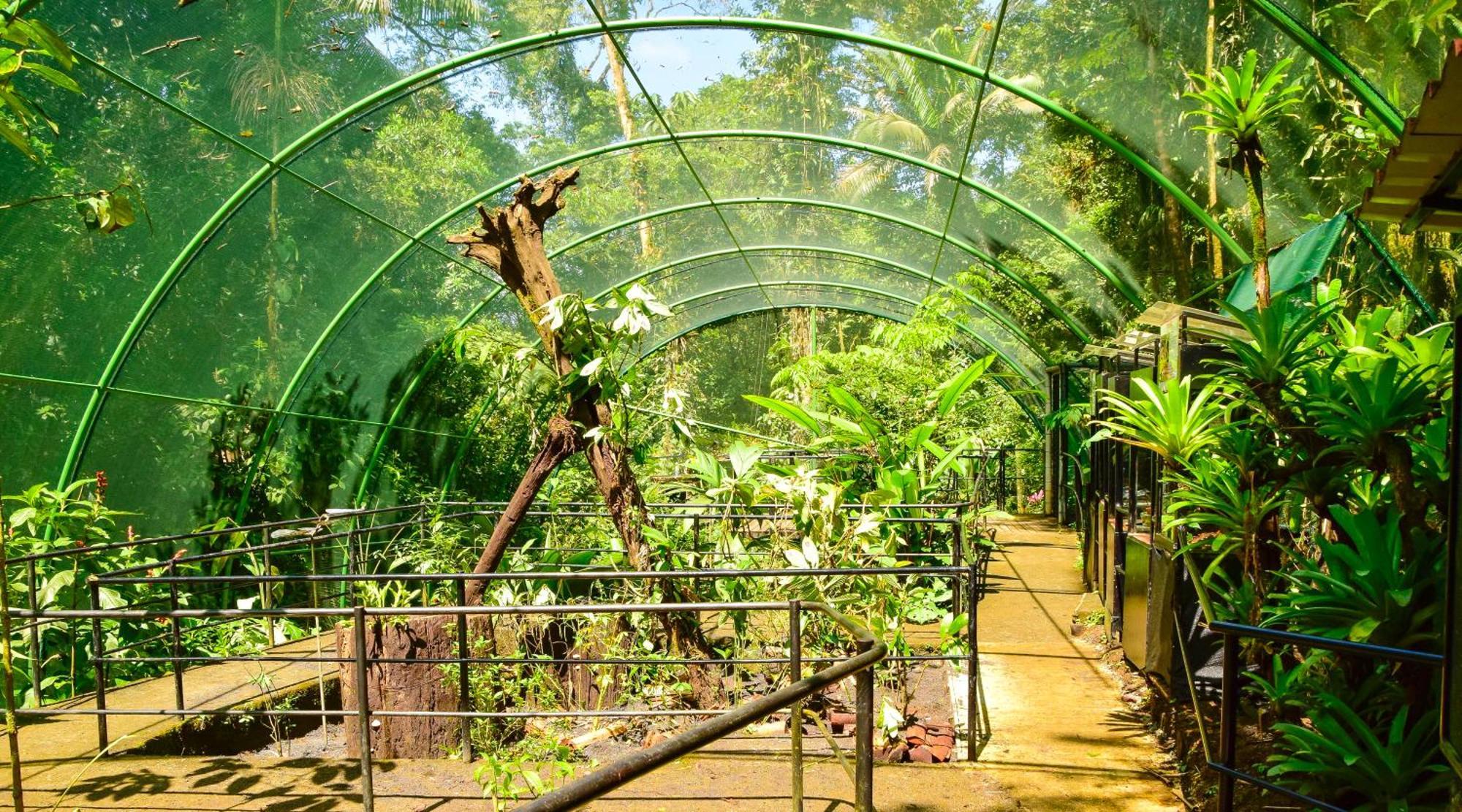 Tapirus Lodge And Reserve Carrillo  Екстер'єр фото